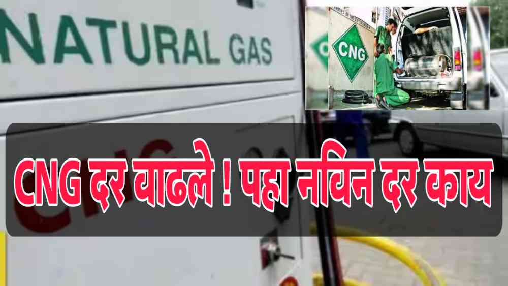 CNG Fuel Price